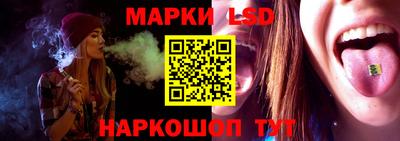 spice Славгород