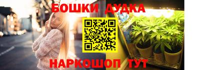 spice Славгород