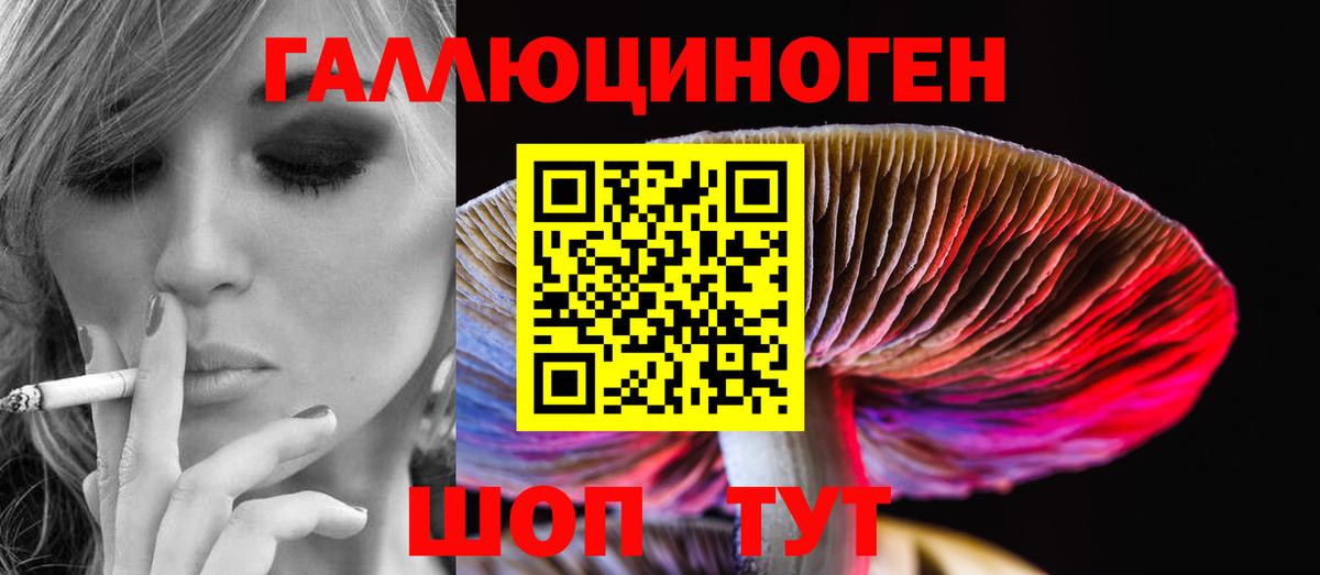 Прохладный  Псилоцибиновые грибы Psilocybe  Вход с VPN 