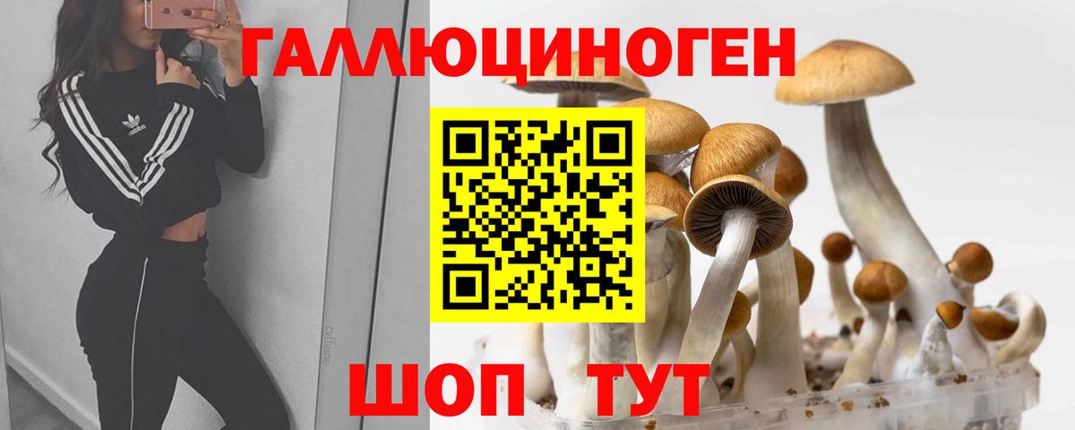 Галлюциногенные грибы Magic Shrooms Прохладный